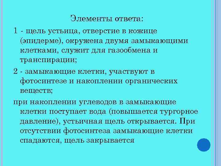 Элементы ответа: 1 - щель устьица, отверстие в кожице (эпидерме), окружена двумя замыкающими клетками,