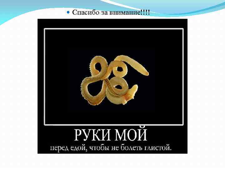  Спасибо за внимание!!!! 