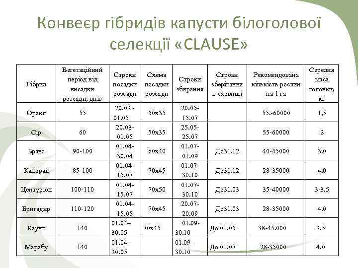 Конвеєр гібридів капусти білоголової селекції «CLAUSE» Гібрид Вегетаційний період від висадки розсади, днів Оракл