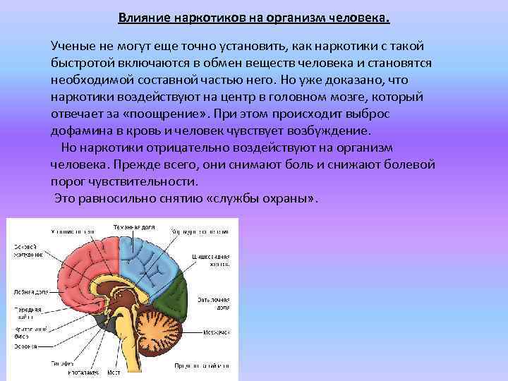 Влияние наркотиков на организм человека. Ученые не могут еще точно установить, как наркотики с