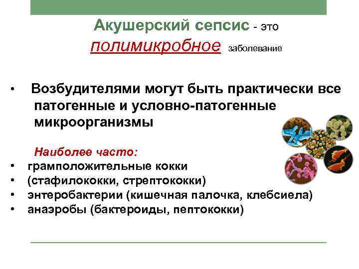 Акушерский сепсис - это полимикробное • • • заболевание Возбудителями могут быть практически все