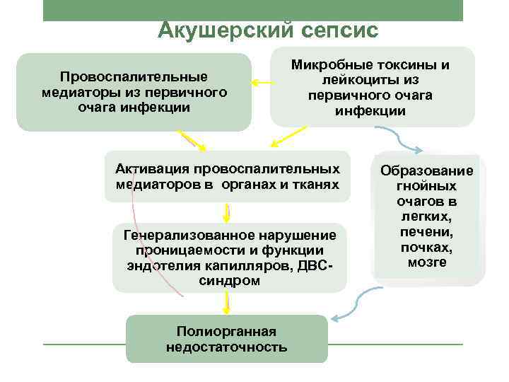 Послеродовой сепсис. Классификация акушерского сепсиса. Провоспалительные и противовоспалительные медиаторы. Сепсис акушерский презентациялар. Провоспалительные медиаторы сепсис.