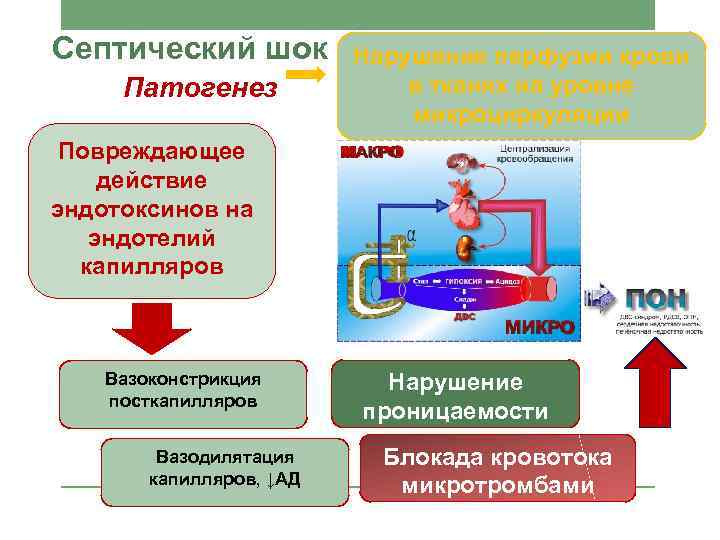 Септический шок Патогенез Нарушение перфузии крови в тканях на уровне микроциркуляции Повреждающее действие эндотоксинов