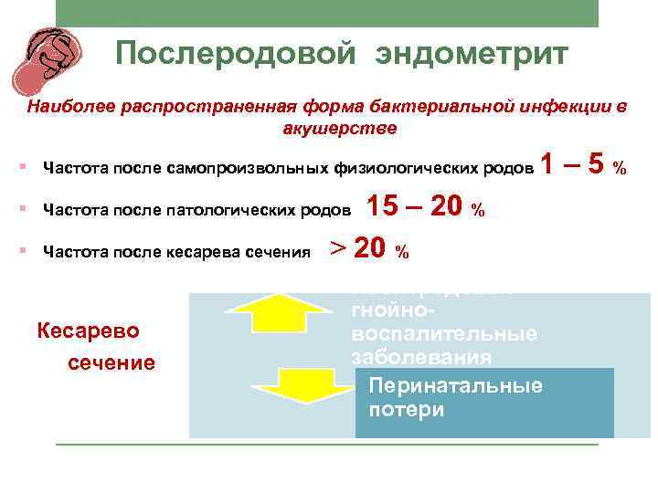 Виды эндометрита. Послеродовой эндометрит симптомы. Причины возникновения послеродового эндометрита. Послеродовый эндометрит симптомы. Эндометрит Акушерство.