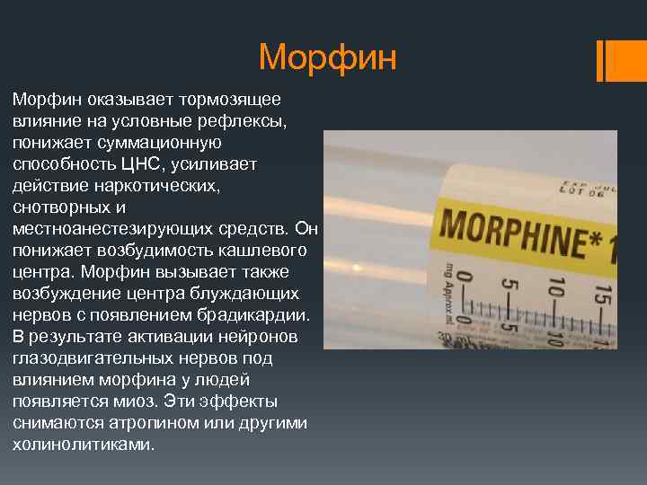 Морфин оказывает тормозящее влияние на условные рефлексы, понижает суммационную способность ЦНС, усиливает действие наркотических,