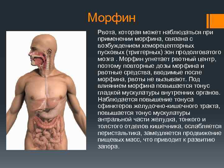 Морфин Рвота, которая может наблюдаться применении морфина, связана с возбуждением хеморецепторных пусковых (триггерных) зон