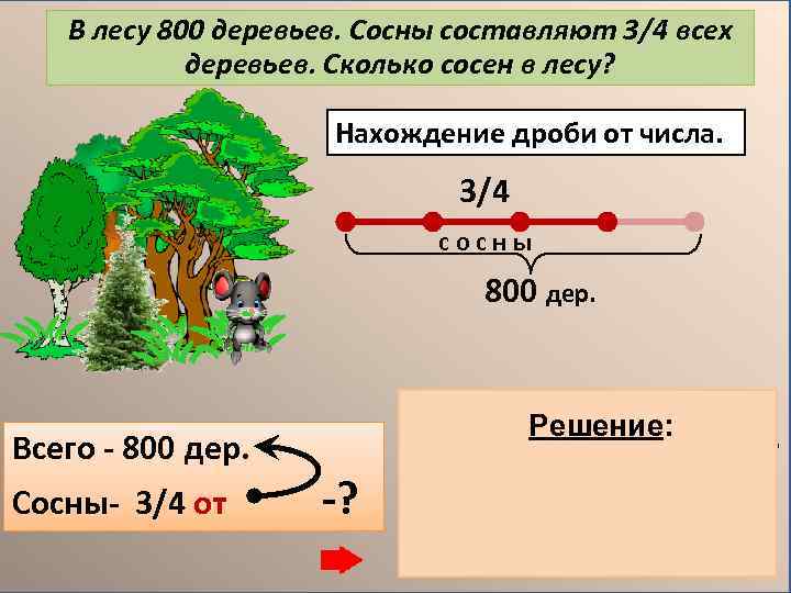 В лесу 800 деревьев. Сосны составляют 3/4 всех деревьев. Сколько сосен в лесу? Нахождение