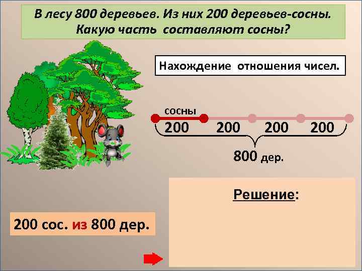 В лесу 800 деревьев. Из них 200 деревьев-сосны. Какую часть составляют сосны? Нахождение отношения