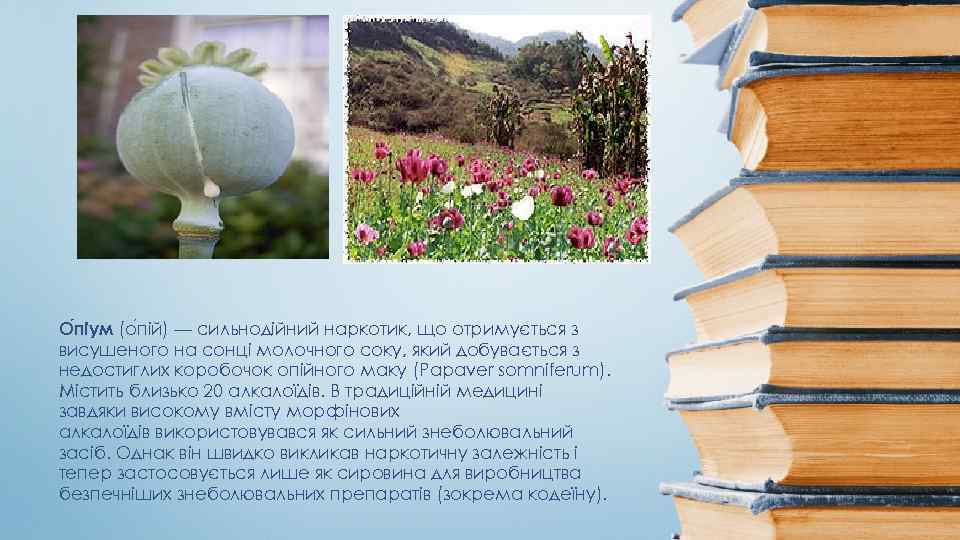 О піум (о пій) — сильнодійний наркотик, що отримується з висушеного на сонці молочного