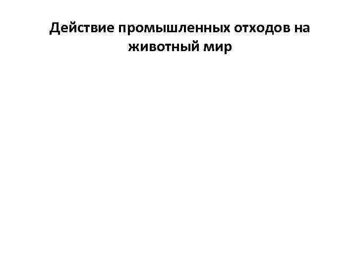 Действие промышленных отходов на животный мир 