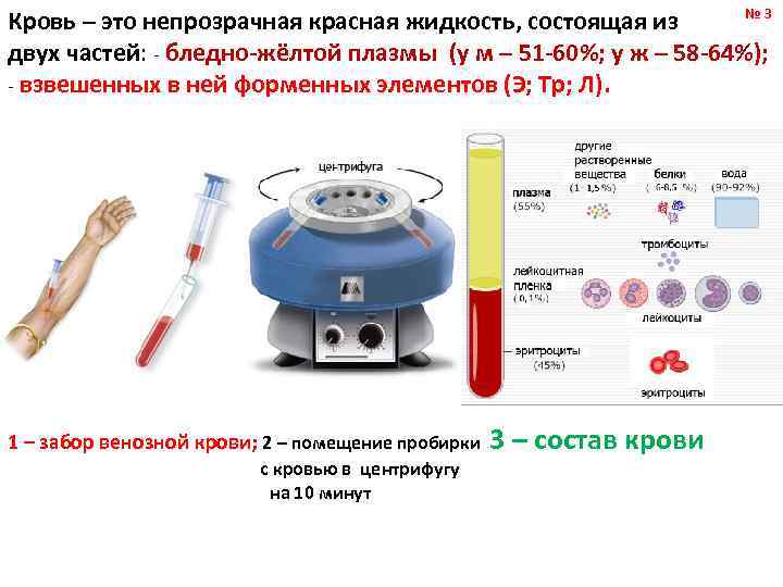 № 3 Кровь – это непрозрачная красная жидкость, состоящая из двух частей: - бледно-жёлтой