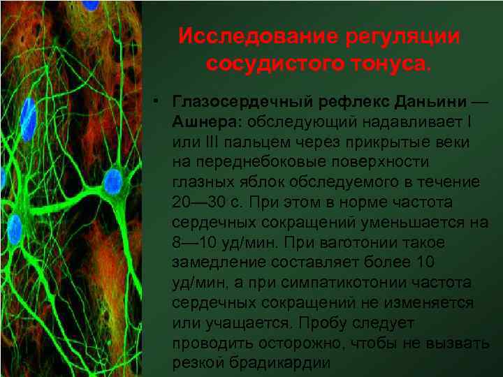 Исследование регуляции сосудистого тонуса. • Глазосердечный рефлекс Даньини — Ашнера: обследующий надавливает I или