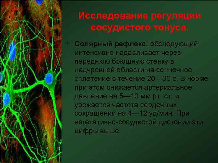 Исследование регуляции сосудистого тонуса. • Солярный рефлекс: обследующий интенсивно надавливает через переднюю брюшную стенку