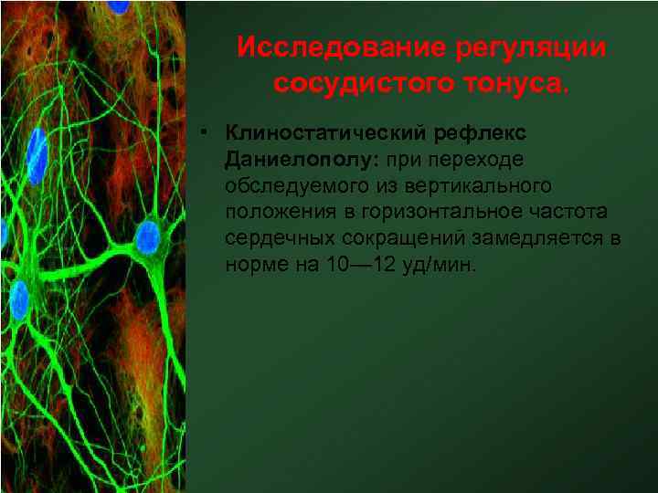 Исследование регуляции сосудистого тонуса. • Клиностатический рефлекс Даниелополу: при переходе обследуемого из вертикального положения