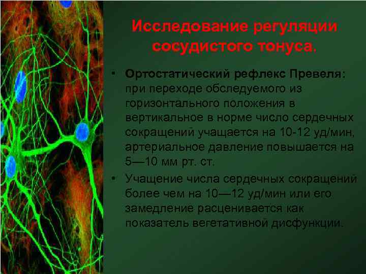 Исследование регуляции сосудистого тонуса. • Ортостатический рефлекс Превеля: при переходе обследуемого из горизонтального положения