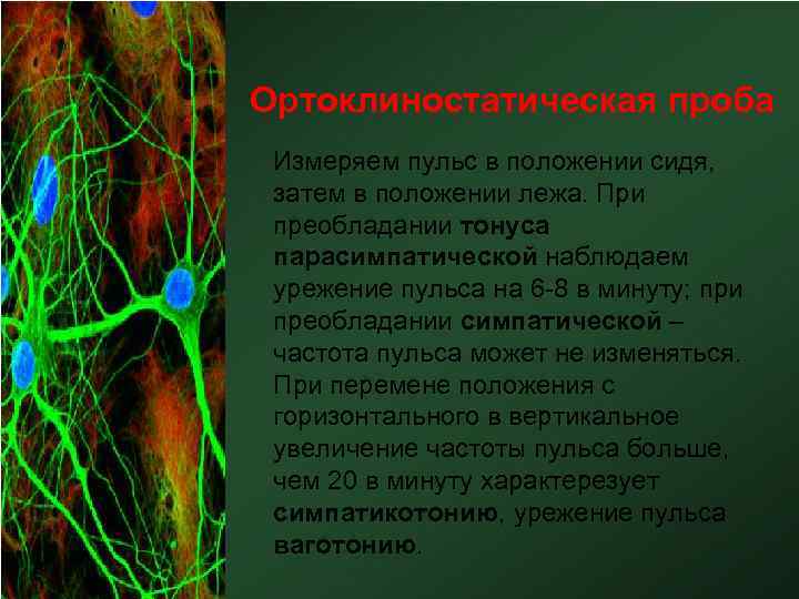 Ортоклиностатическая проба Измеряем пульс в положении сидя, затем в положении лежа. При преобладании тонуса