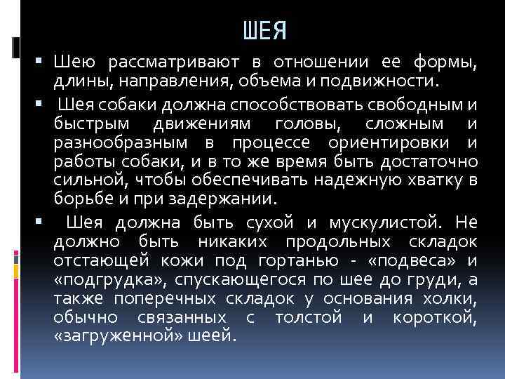 ШЕЯ Шею рассматривают в отношении ее формы, длины, направления, объема и подвижности. Шея собаки