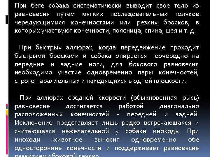 При беге собака систематически выводит свое тело из равновесия путем мягких последовательных толчков чередующимися