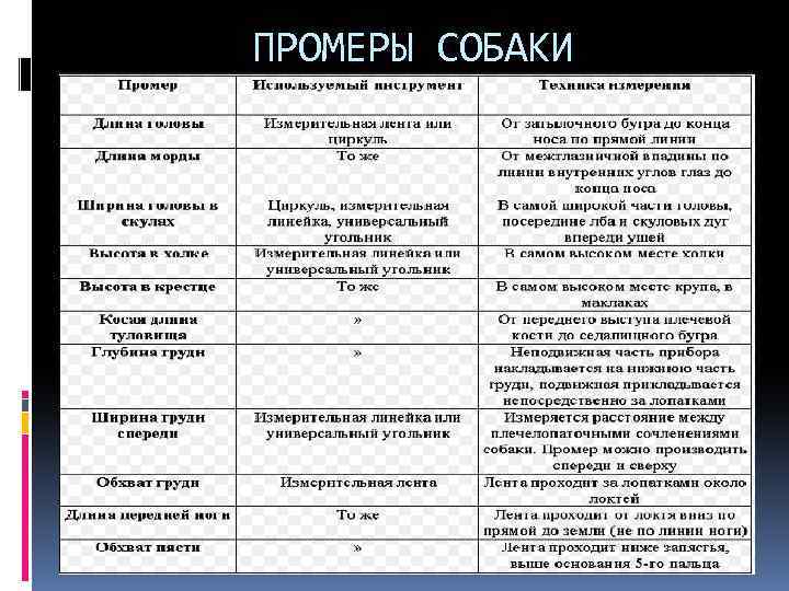 ПРОМЕРЫ СОБАКИ 