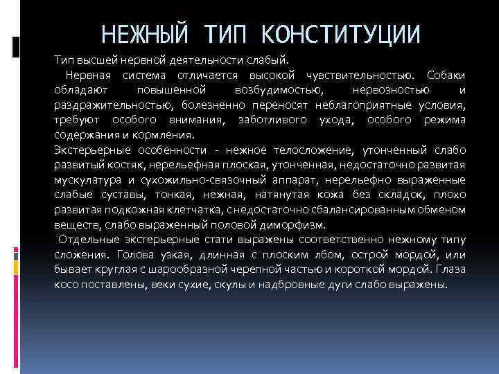 НЕЖНЫЙ ТИП КОНСТИТУЦИИ Тип высшей нервной деятельности слабый. Нервная система отличается высокой чувствительностью. Собаки