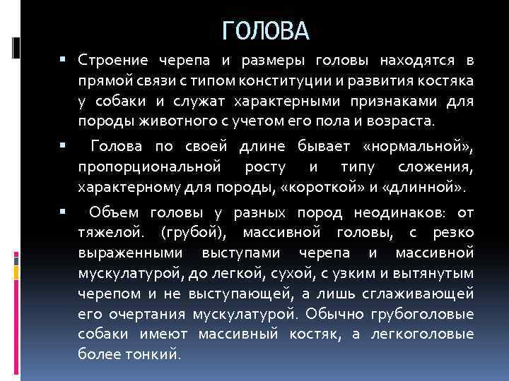 ГОЛОВА Строение черепа и размеры головы находятся в прямой связи с типом конституции и