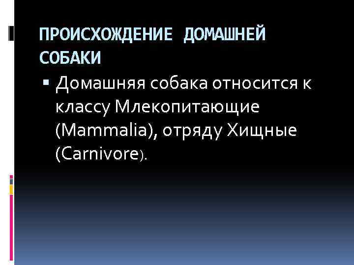 ПРОИСХОЖДЕНИЕ ДОМАШНЕЙ СОБАКИ Домашняя собака относится к классу Млекопитающие (Mammalia), отряду Хищные (Carnivore). 