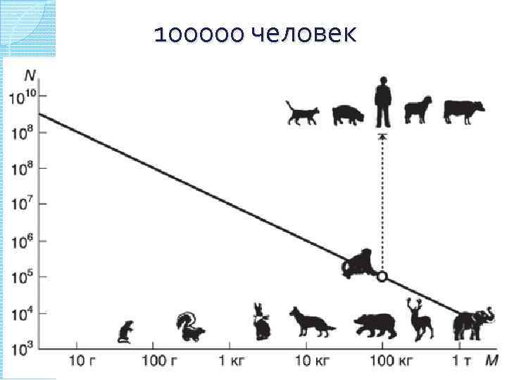 100000 человек Общество как целостная динамичноразвивающаяся система 37 