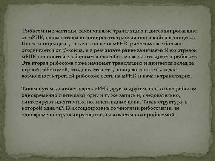  Рибосомные частицы, закончившие трансляцию и диссоциировавшие от м. РНК, снова готовы инициировать трансляцию