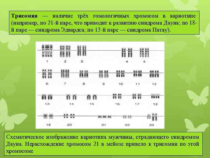 Трисомия х презентация