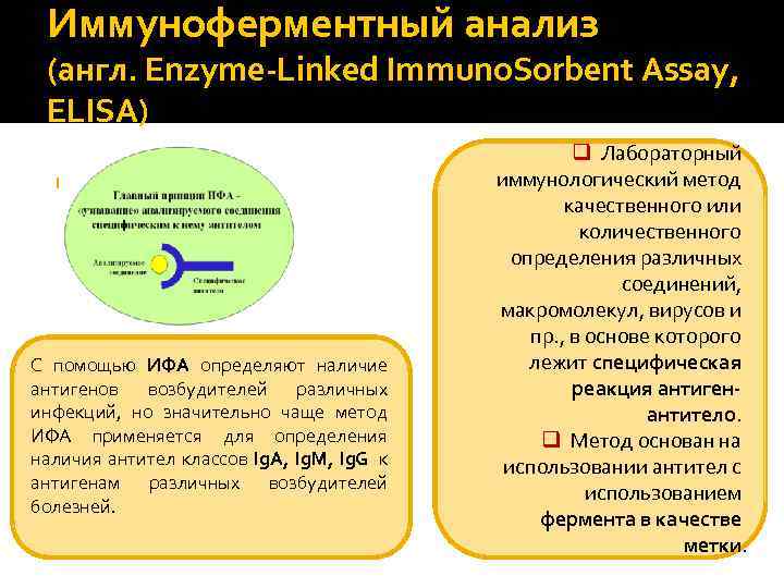 Иммуноферментный анализ (англ. Enzyme-Linked Immuno. Sorbent Assay, ELISA) С помощью ИФА определяют наличие антигенов