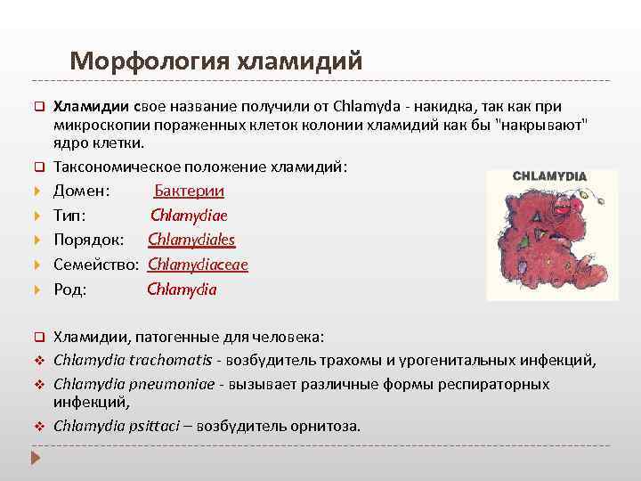 Кровь на хламидии и микоплазму