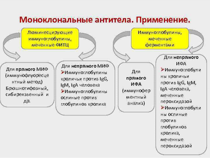 Моноклональные антитела. Применение. Люминесцирующие иммуноглобулины, меченные ФИТЦ Для прямого МИФ (иммунофлуоресце нтный метод) Брюшнотифозный,