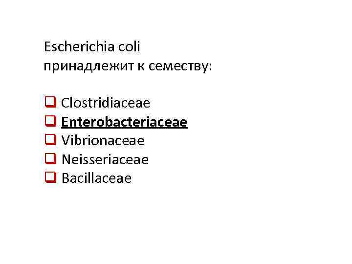 Escherichia coli принадлежит к семеству: q Clostridiaceae q Enterobacteriaceae q Vibrionaceae q Neisseriaceae q