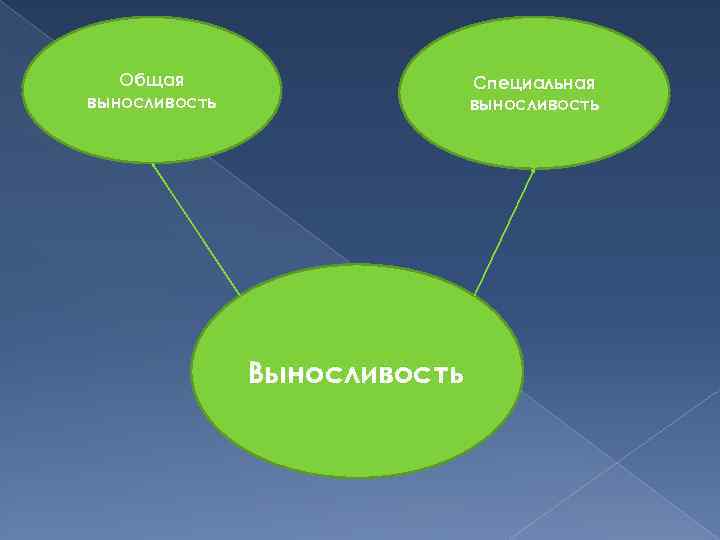 Общая выносливость Специальная выносливость Выносливость 