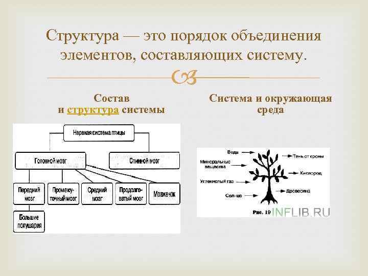 Структура — это порядок объединения элементов, составляющих систему. Состав и структура системы Система и