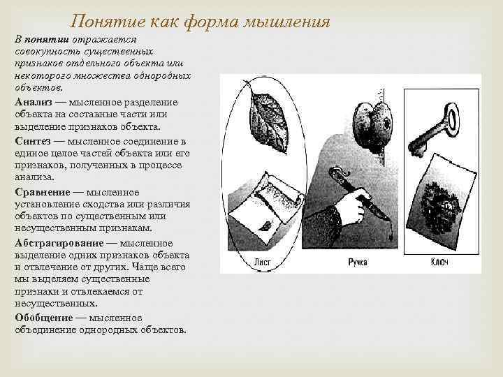 Понятие как форма мышления В понятии отражается совокупность существенных признаков отдельного объекта или некоторого