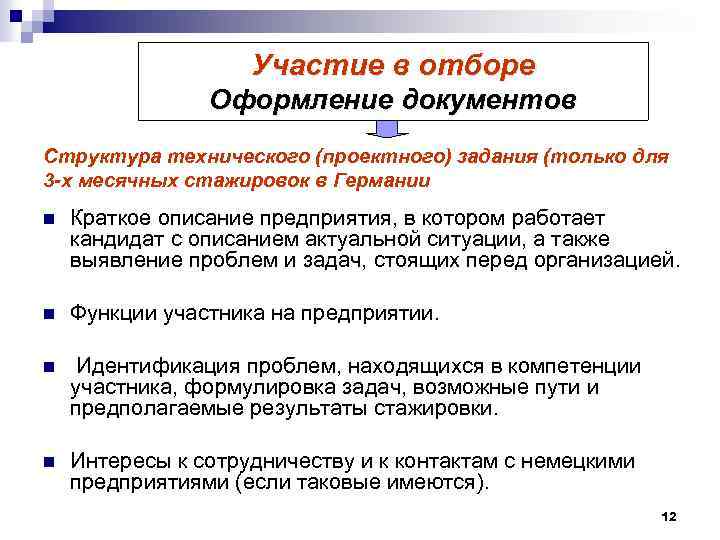 Участие в отборе Оформление документов Структура технического (проектного) задания (только для 3 -х месячных