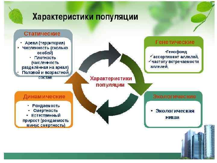 Понятие популяции свойства популяции. Основные характеристики популяции. Экологическая характеристика популяции 11 класс. Основные характеристики популяции биология 9 класс. Основные экологические характеристики популяции 11 класс.