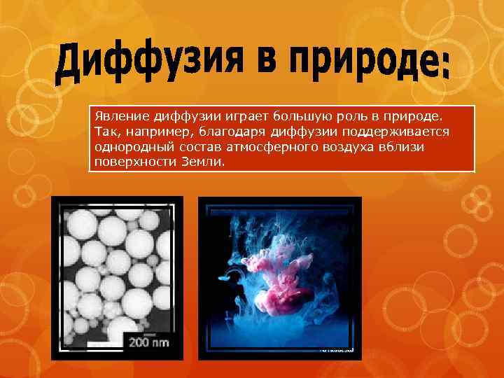 Явление диффузии играет большую роль в природе. Так, например, благодаря диффузии поддерживается однородный состав