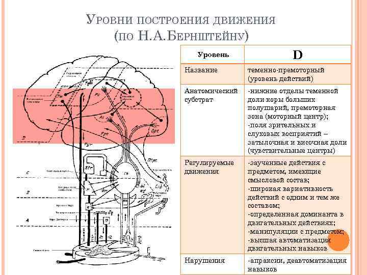 Последовательные картинки по бернштейну