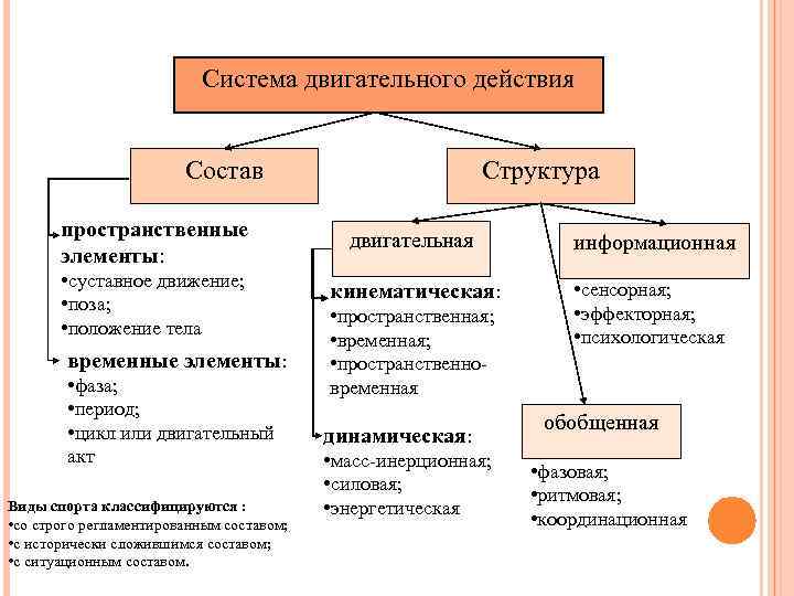 Система двигательного действия Состав пространственные элементы: • суставное движение; • поза; • положение тела