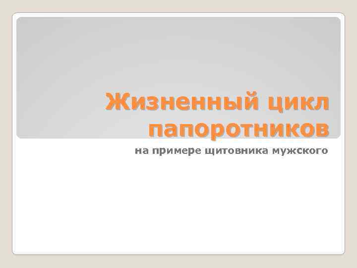 Жизненный цикл папоротников на примере щитовника мужского 