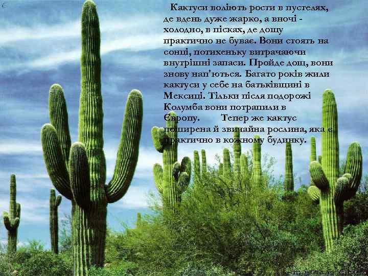 Кактуси воліють рости в пустелях, де вдень дуже жарко, а вночі холодно, в пісках,