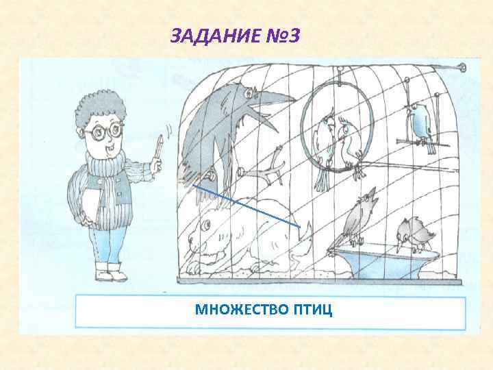 ЗАДАНИЕ № 3 МНОЖЕСТВО ПТИЦ 