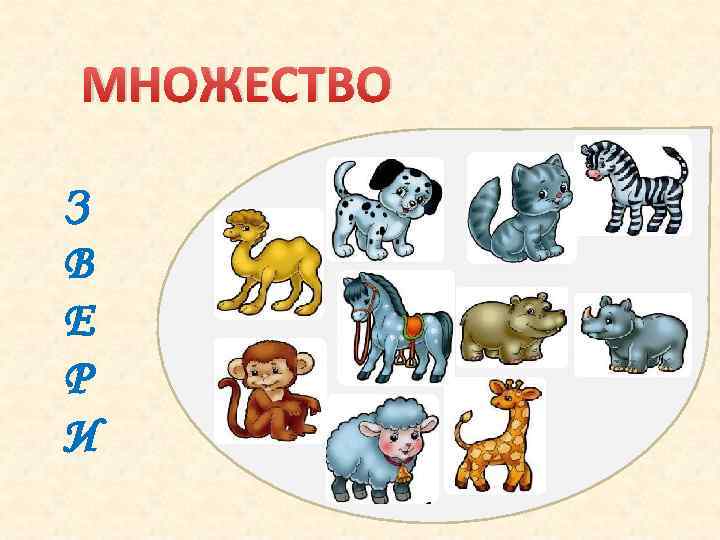 МНОЖЕСТВО З В Е Р И 