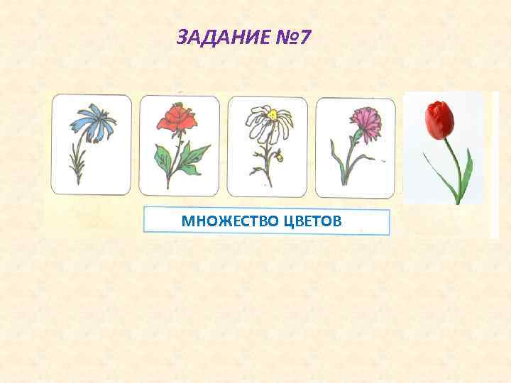 ЗАДАНИЕ № 7 МНОЖЕСТВО ЦВЕТОВ 