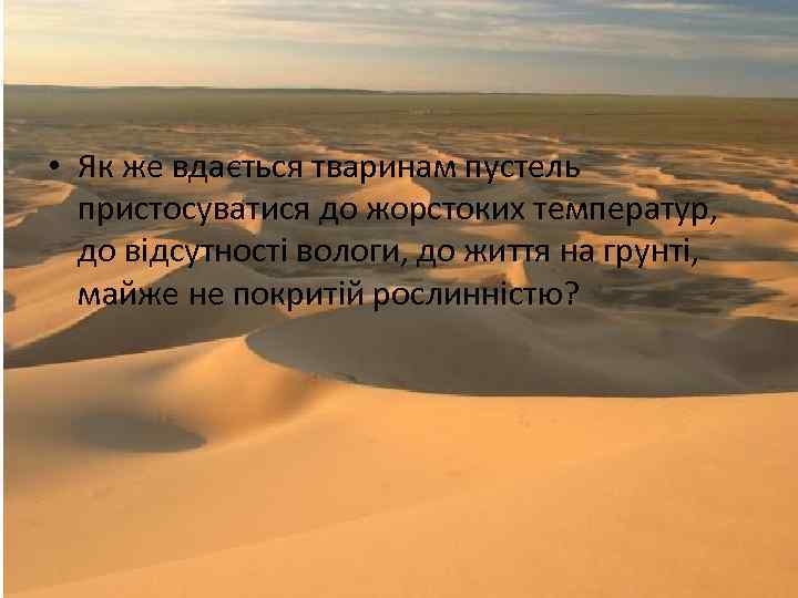  • Як же вдається тваринам пустель пристосуватися до жорстоких температур, до відсутності вологи,