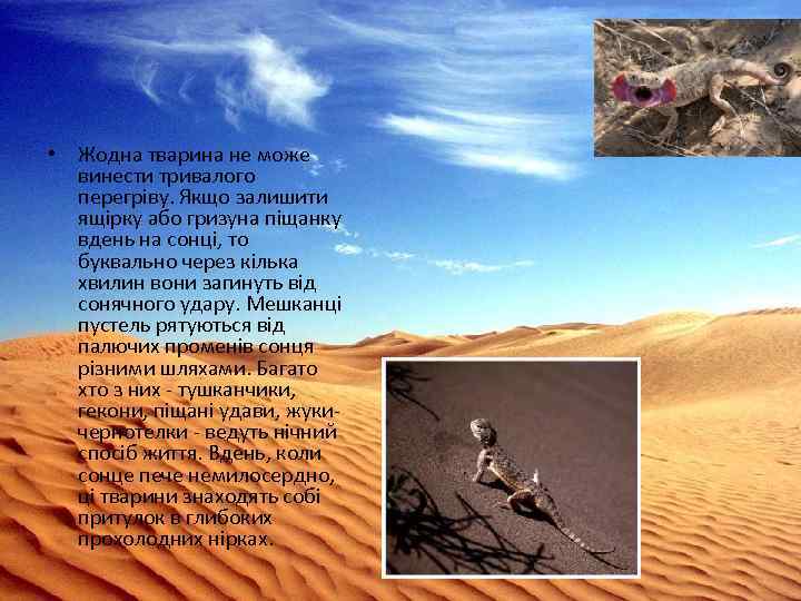  • Жодна тварина не може винести тривалого перегріву. Якщо залишити ящірку або гризуна