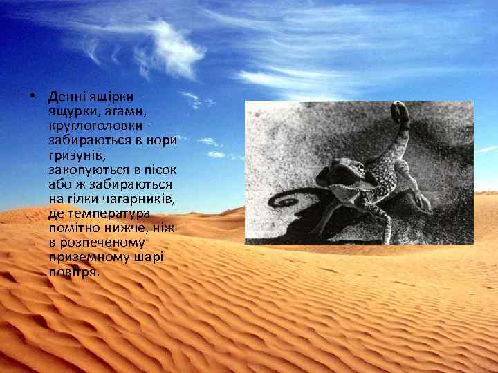  • Денні ящірки - ящурки, агами, круглоголовки - забираються в нори гризунів, закопуються