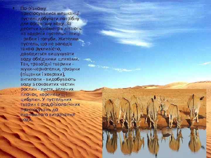  • По-різному пристосувалися мешканці пустелі добувати потрібну для організму воду. За десятки кілометрів